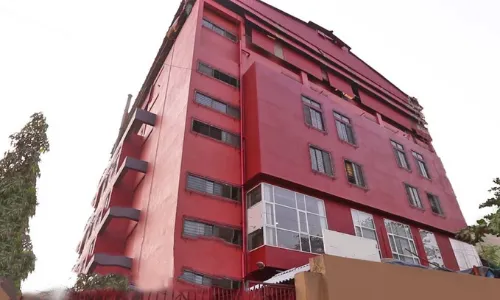 Vibrant colour pigments supplier